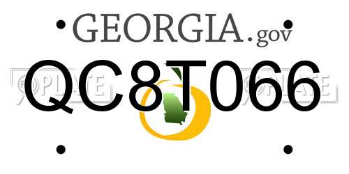 QC8T066 Georgia License Plate