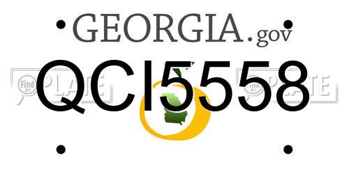 QCI5558 Georgia License Plate