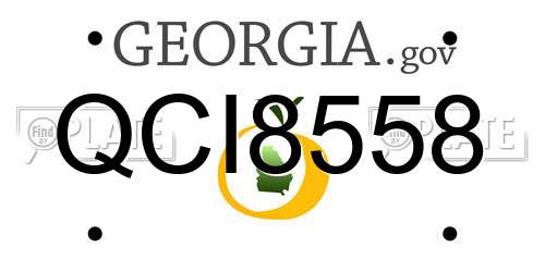 QCI8558 Georgia License Plate