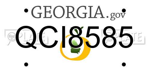 QCI8585 Georgia License Plate