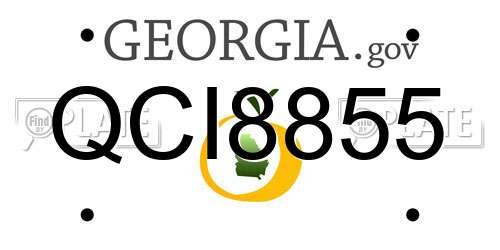 QCI8855 Georgia License Plate