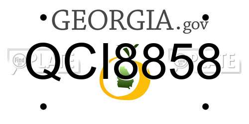 QCI8858 Georgia License Plate
