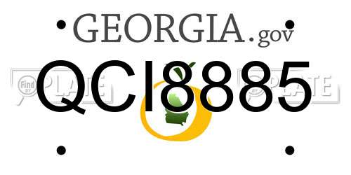 QCI8885 Georgia License Plate