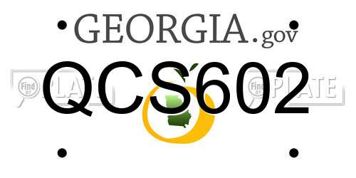 QCS602 Georgia License Plate