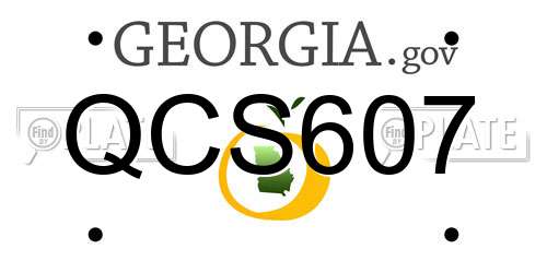 QCS607 Georgia License Plate