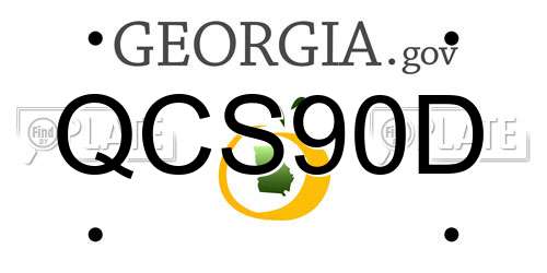 QCS90D Georgia License Plate
