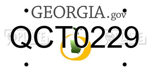 QCT0229 Georgia License Plate