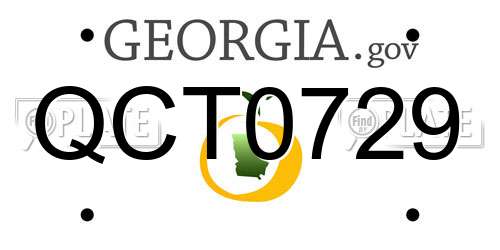 QCT0729 Georgia License Plate