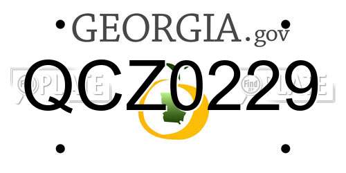 QCZ0229 Georgia License Plate