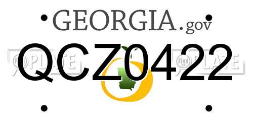 QCZ0422 Georgia License Plate
