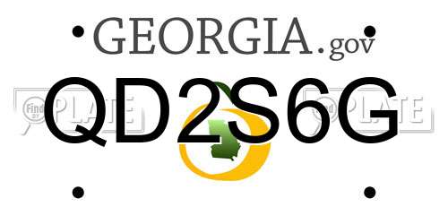QD2S6G Georgia License Plate