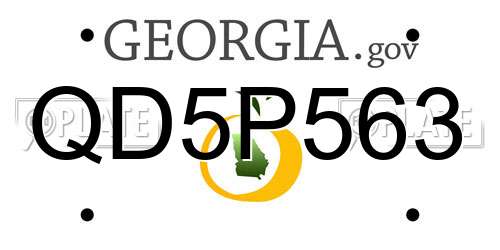 QD5P563 Georgia License Plate