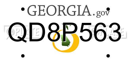 QD8P563 Georgia License Plate