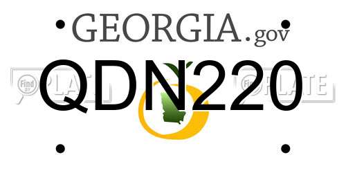 QDN220 Georgia License Plate