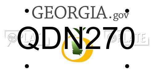 QDN270 Georgia License Plate