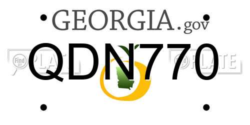 QDN770 Georgia License Plate