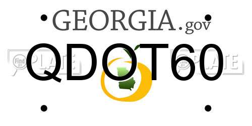 QDOT60 Georgia License Plate