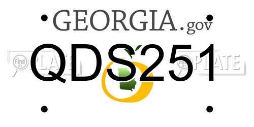 QDS251 Georgia License Plate