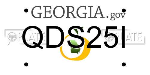 QDS25I Georgia License Plate