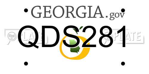 QDS281 Georgia License Plate