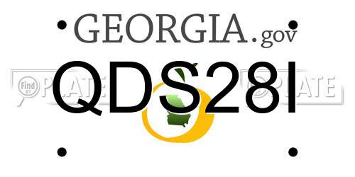 QDS28I Georgia License Plate