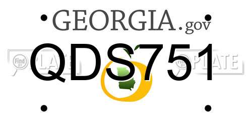 QDS751 Georgia License Plate
