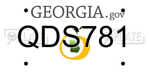 QDS781 Georgia License Plate