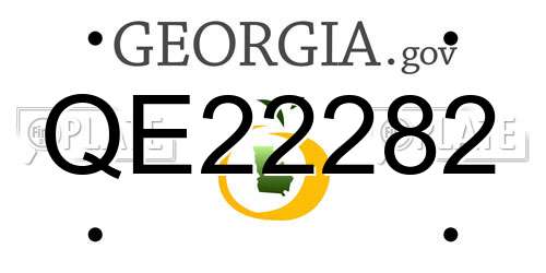 QE22282 Georgia License Plate