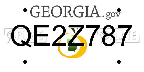 QE2Z787 Georgia License Plate