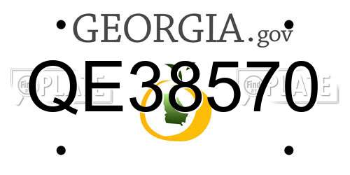 QE38570 Georgia License Plate