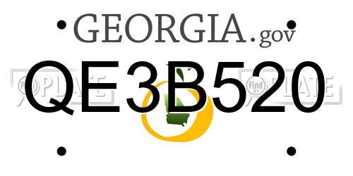 QE3B520 Georgia License Plate
