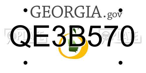 QE3B570 Georgia License Plate