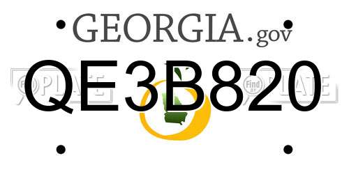 QE3B820 Georgia License Plate