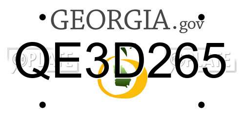 QE3D265 Georgia License Plate