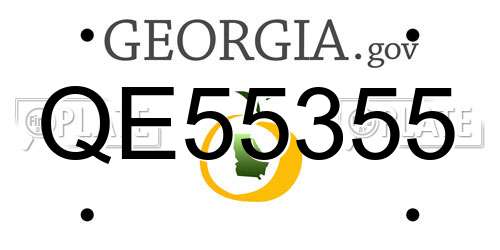 QE55355 Georgia License Plate