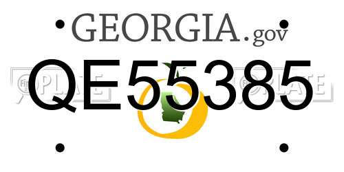 QE55385 Georgia License Plate