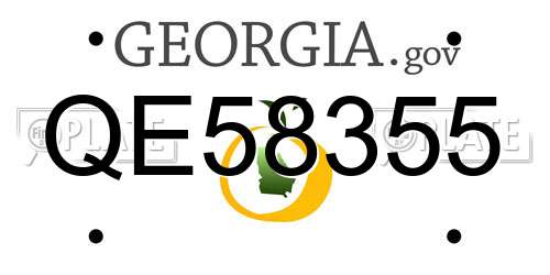 QE58355 Georgia License Plate