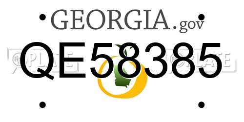 QE58385 Georgia License Plate