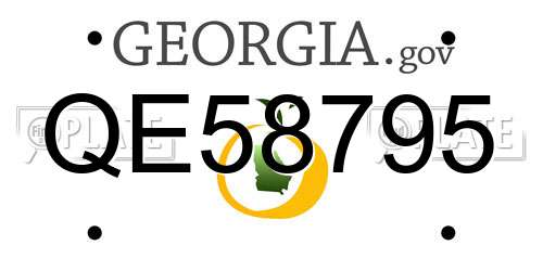 QE58795 Georgia License Plate