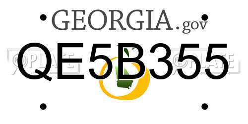 QE5B355 Georgia License Plate