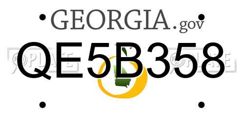 QE5B358 Georgia License Plate