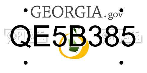 QE5B385 Georgia License Plate