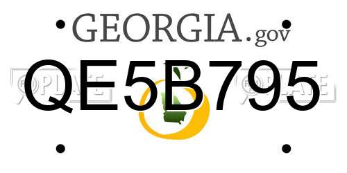 QE5B795 Georgia License Plate