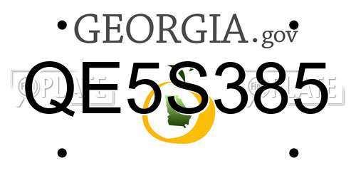 QE5S385 Georgia License Plate