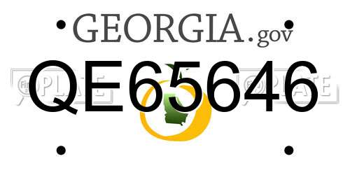 QE65646 Georgia License Plate