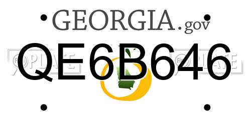 QE6B646 Georgia License Plate