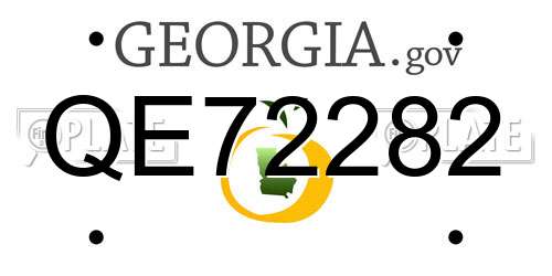 QE72282 Georgia License Plate