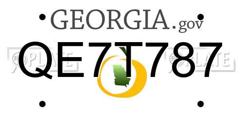 QE7T787 Georgia License Plate
