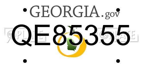 QE85355 Georgia License Plate