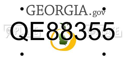 QE88355 Georgia License Plate